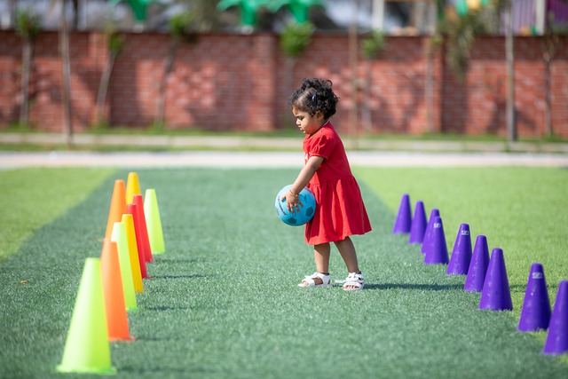 活动备案 活动备案