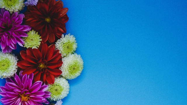 他們的防守 他們的防守