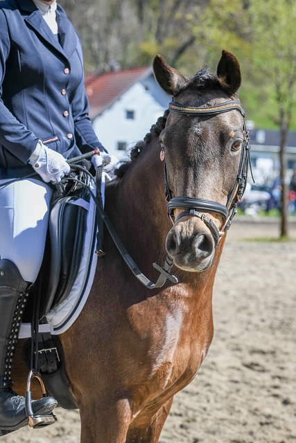 杯赛场上 杯赛场上