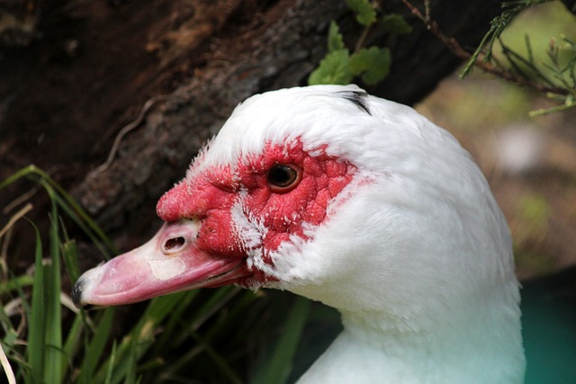 综上所述 综上所述