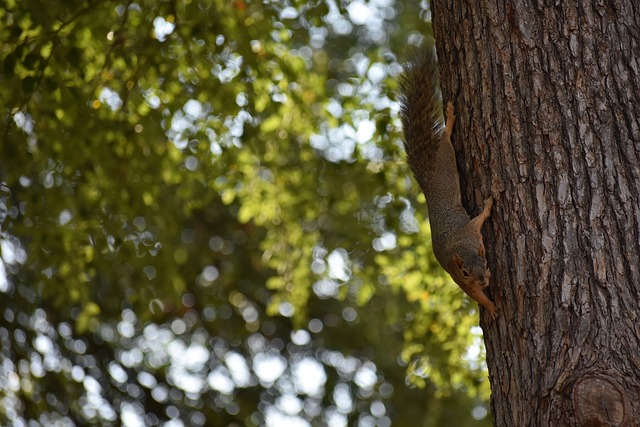 赛中显露无 赛中显露无