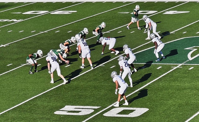 为罗马在未 为罗马在未