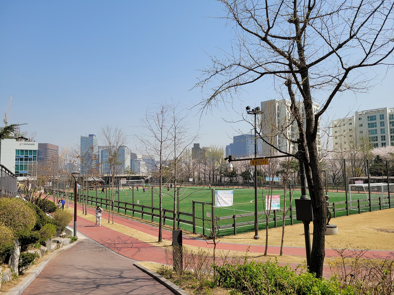 己的球队提 己的球队提